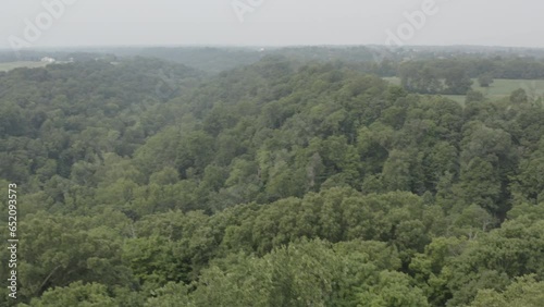 Aerial footage of a jungle, forest in the United States with green trees and blue skies