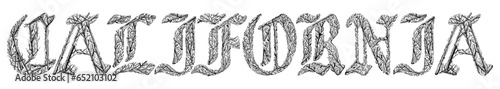 california word with branches hand drawing vector isolated on background.