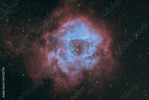 Rosette Nebula