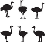 Ostrich vector silhouette illustration black color