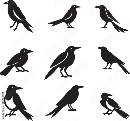 Magpie Bird vector silhouette Illustration