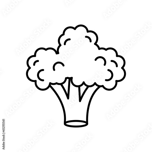 Broccoli icon vector, solid vector liner flat illustration on white background..eps
