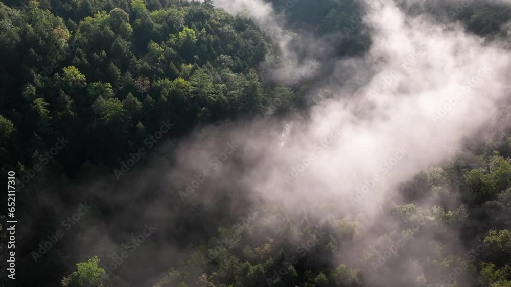 Forest and mountain road on a misty morning from the air Forest and mountain road on a misty morning from the air