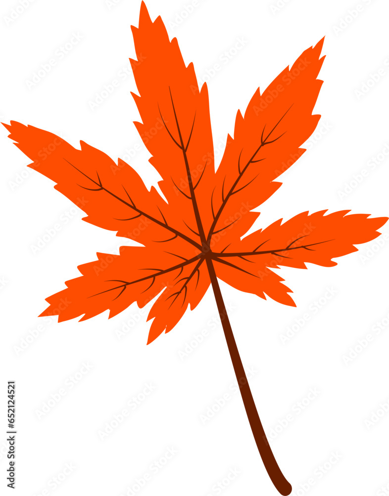 Fototapeta premium Autumn leaf