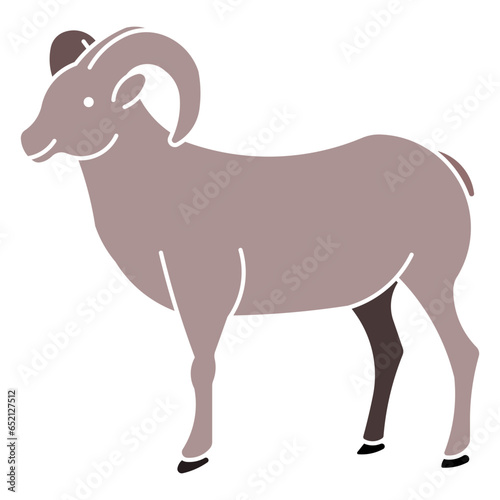 dall sheep