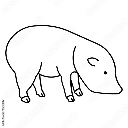 pig