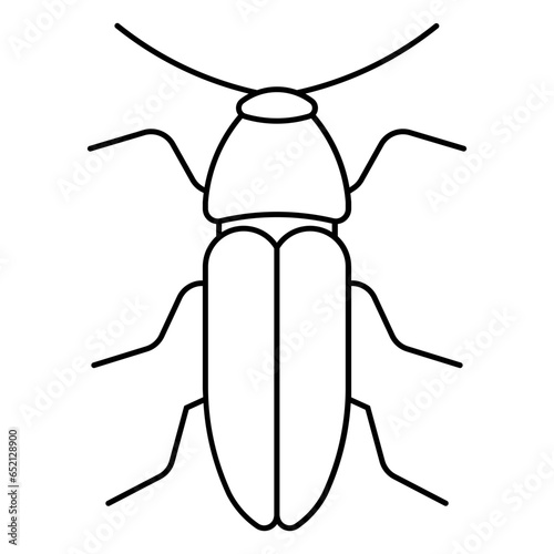 dung beetle