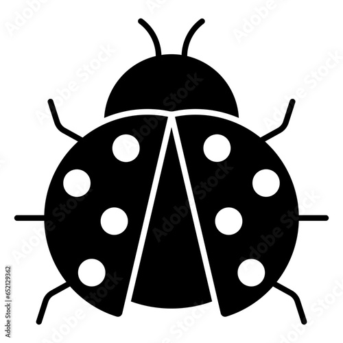 ladybug