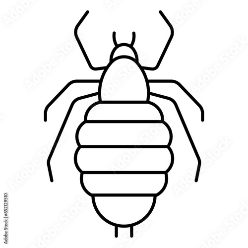 louse