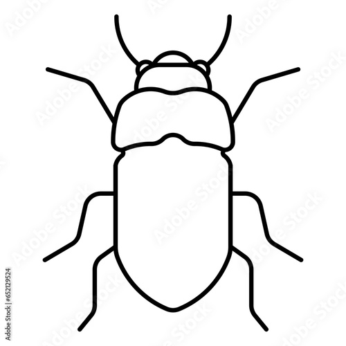 mealworm