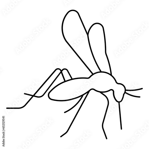 mosquito