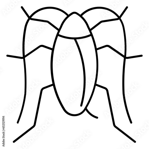 roach