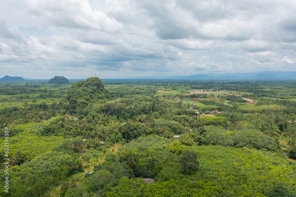 Obraz premium Aerial top view of lush green trees from above in tropical forest in national park in summer season. Natural landscape. Pattern texture background.
