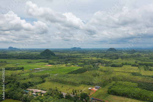 Aerial top view of lush green trees from above in tropical forest in national park in summer season. Natural landscape. Pattern texture background.