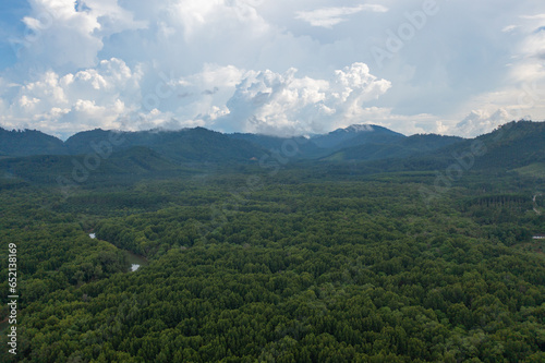 Aerial top view of lush green trees from above in tropical forest in national park in summer season. Natural landscape. Pattern texture background.