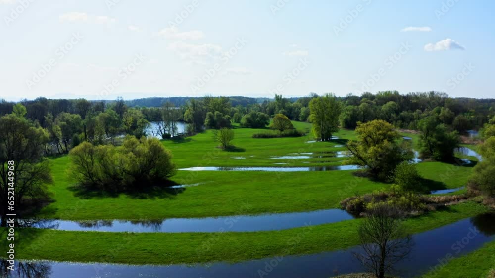 Flying Over The Wetland With Trees And Green Grass In Daytime In Austria. - aerial Flying Over The Wetland With Trees And Green Grass In Daytime In Austria. - aerial