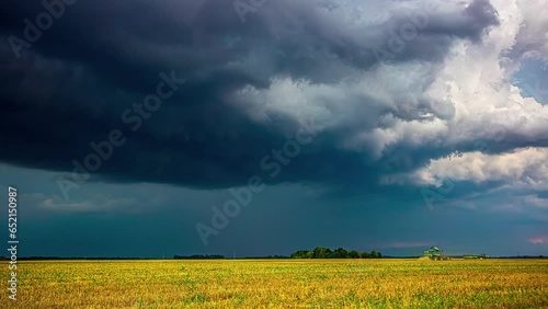 Farmers harvest their crops as dark storm clouds close the sky