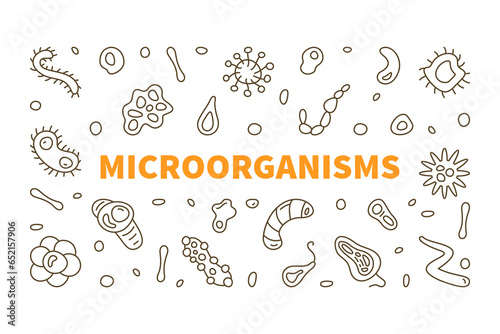 Microorganisms vector Micro Organisms concept line simple horizontal banner or illustration