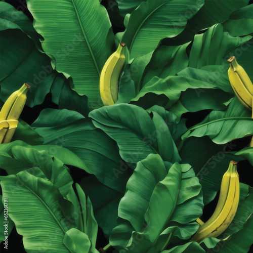 banana leaf tree