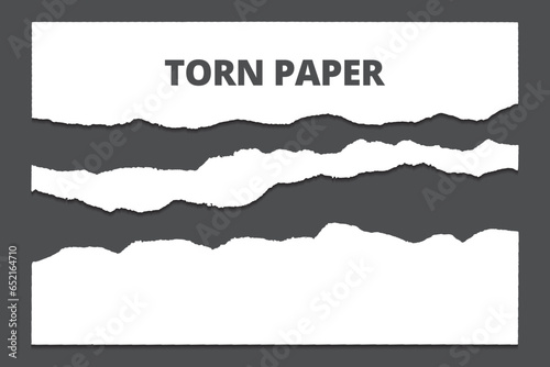 Torn paper sheets of paper. Torn paper strips set. Vector illustration
