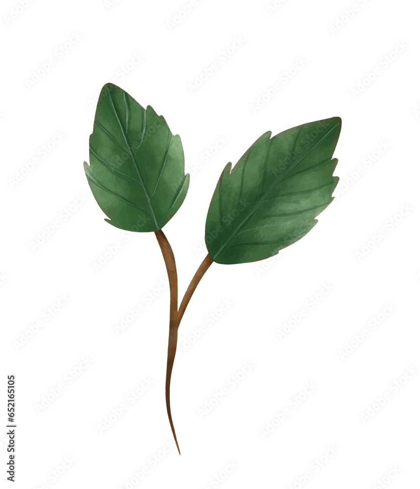 Fototapeta premium branch of rose watercolor icon. for wedding invitation card, greeting card, anniversary, textile, fabrica. 