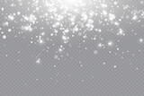 
Sparkling magical dust particles. Dust sparks and white stars shine with a special light. Shiny elements on a transparent background.