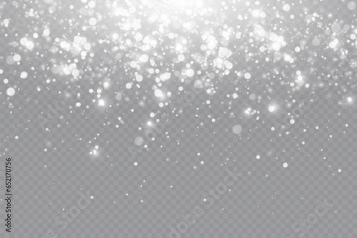 Wallpaper Mural 
Sparkling magical dust particles. Dust sparks and white stars shine with a special light. Shiny elements on a transparent background. Torontodigital.ca