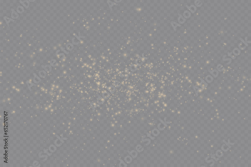 Gold sparks and golden stars glitter special light effect. Vector sparkles on transparent background. Christmas abstract. dust 