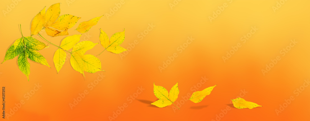 Falling Autumn Leaves. Golden leaves close-up on the blurred background. Falling Autumn Leaves. Golden leaves close-up on the blurred background.