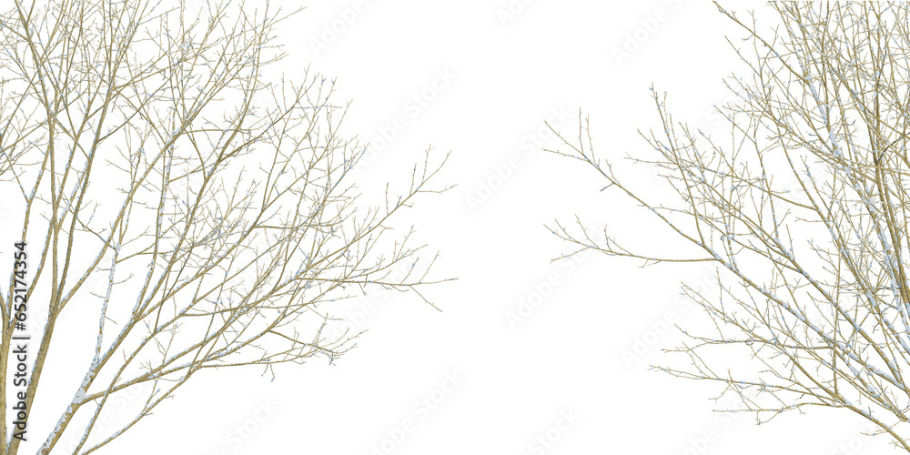 Winter tree isolated on white