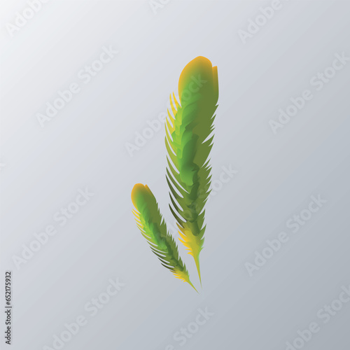 feathers Logo Template