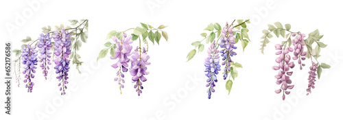 Watercolor flowers on a white background without shadows for illustration.