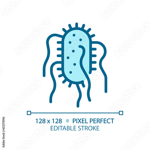 2D pixel perfect editable blue salmonella typhi icon, isolated monochromatic vector, thin line illustration representing bacteria.