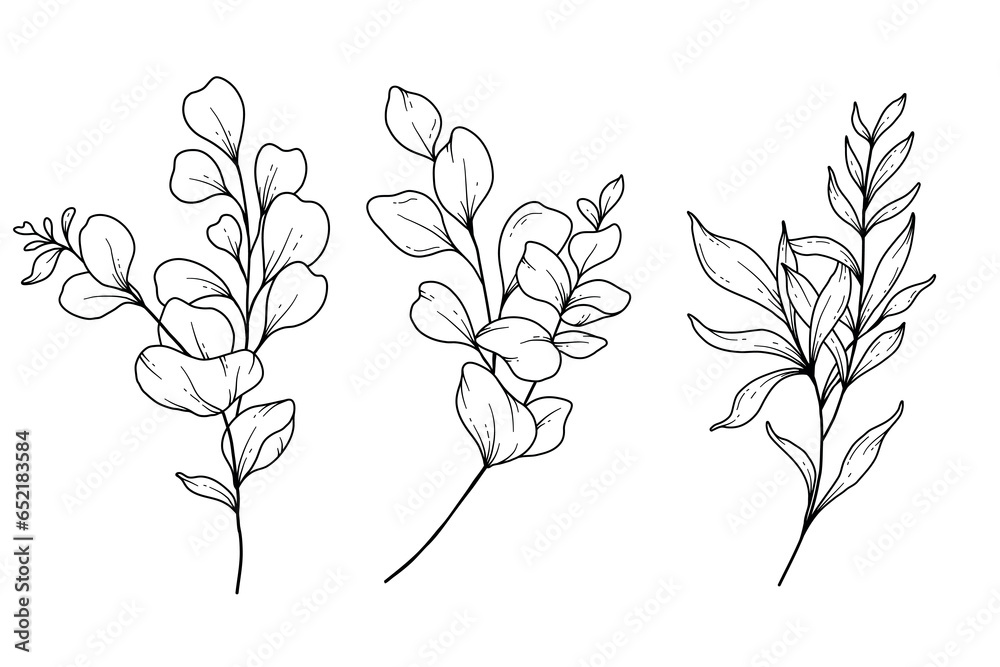 Eucalyptus Greenery Line Art, Fine Line Leaves Hand Drawn Illustration. Botanical Coloring Page. Outline Leaves Isolated on White