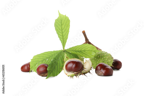 PNG, a chestnuts isolated on white background