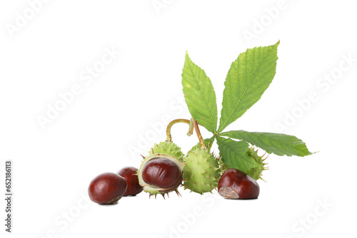 PNG, a chestnuts isolated on white background