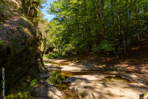 Nature reserve Zidova strouha with river Luznice near city Bechyne. Czechia.