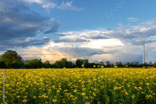 Obraz na płótnie Windrad, Wolken, Raps