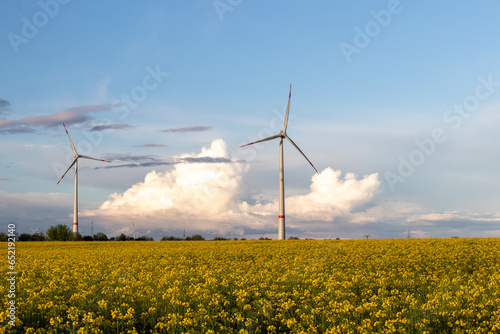 Obraz na płótnie Windrad, Wolken, Raps