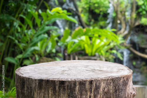 Empty old tree stump table top with blur green tropical garden background for product display