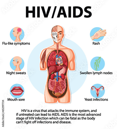 HIV/AIDS Virus: Effects on Human Immune System