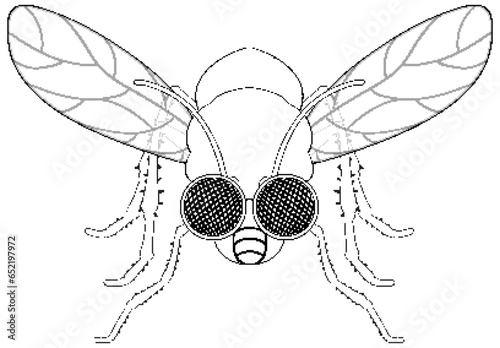 Happy fly cartoon character doodle