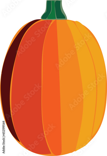 orange pumpkin isolated on white background. in vector