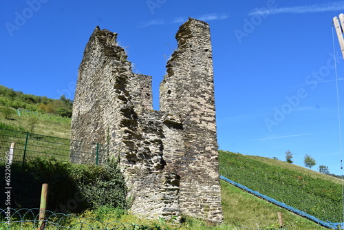 Tower Ruin on the hills above Bachrach photo