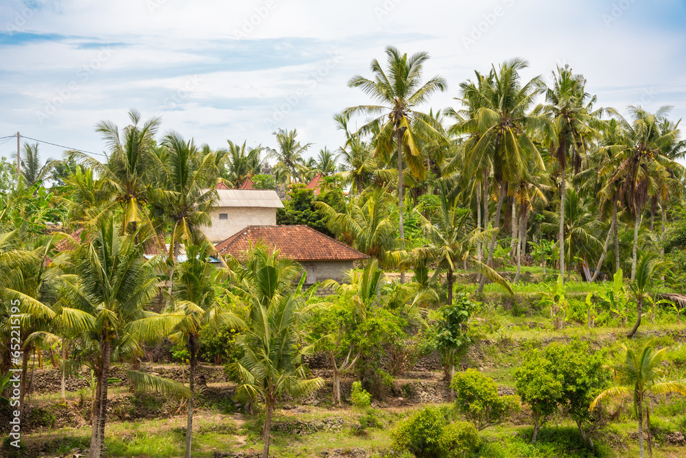 Country houses in tropical forest with palm trees on Bali island, indonesia