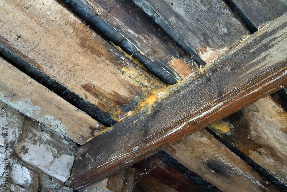 Floors of the old leaking roof. Floors of the old leaking roof.
