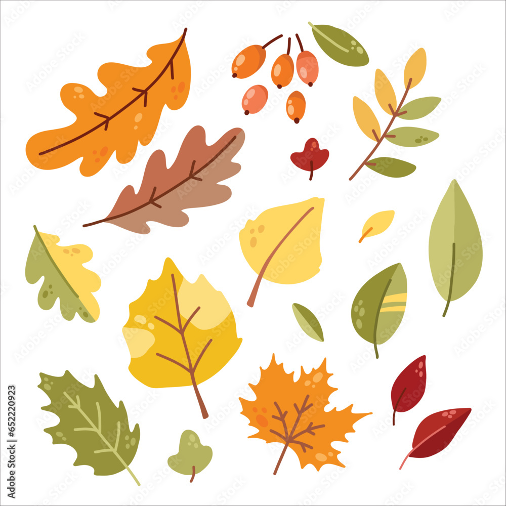 cute vector autumn set with leaves and berries cute vector autumn set with leaves and berries