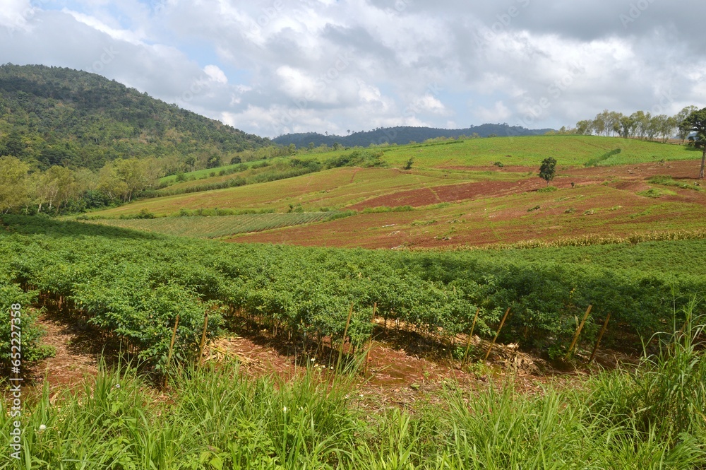 Naklejka premium landscape of farm in the mountain