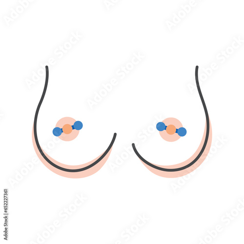 Large female breast icon, line on transparent background, vector illustration