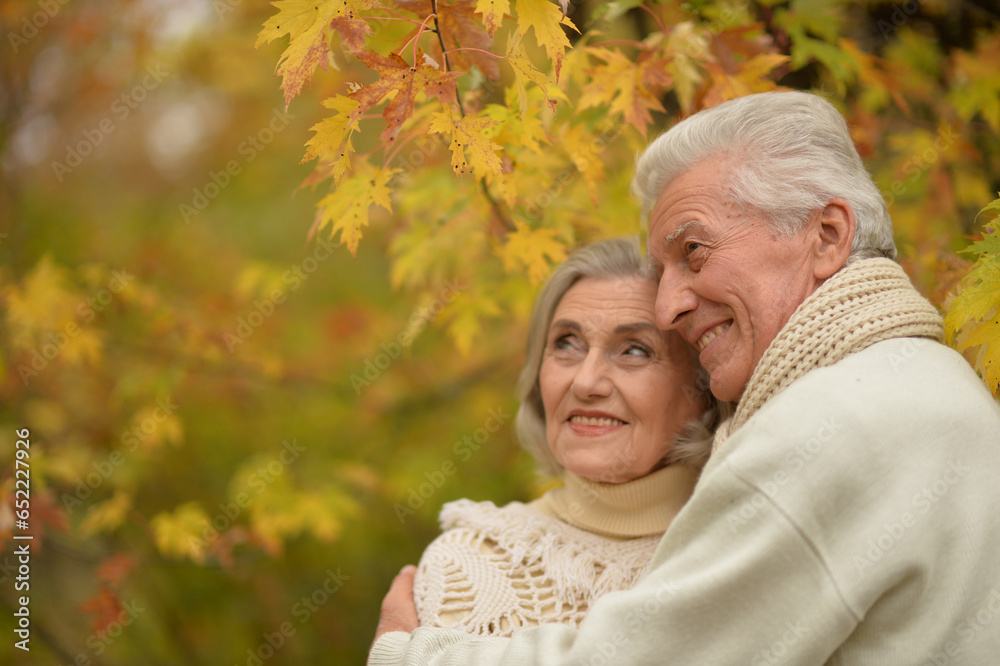 Elderly couple dance in the park in autumn. Elderly couple dance in the park in autumn.